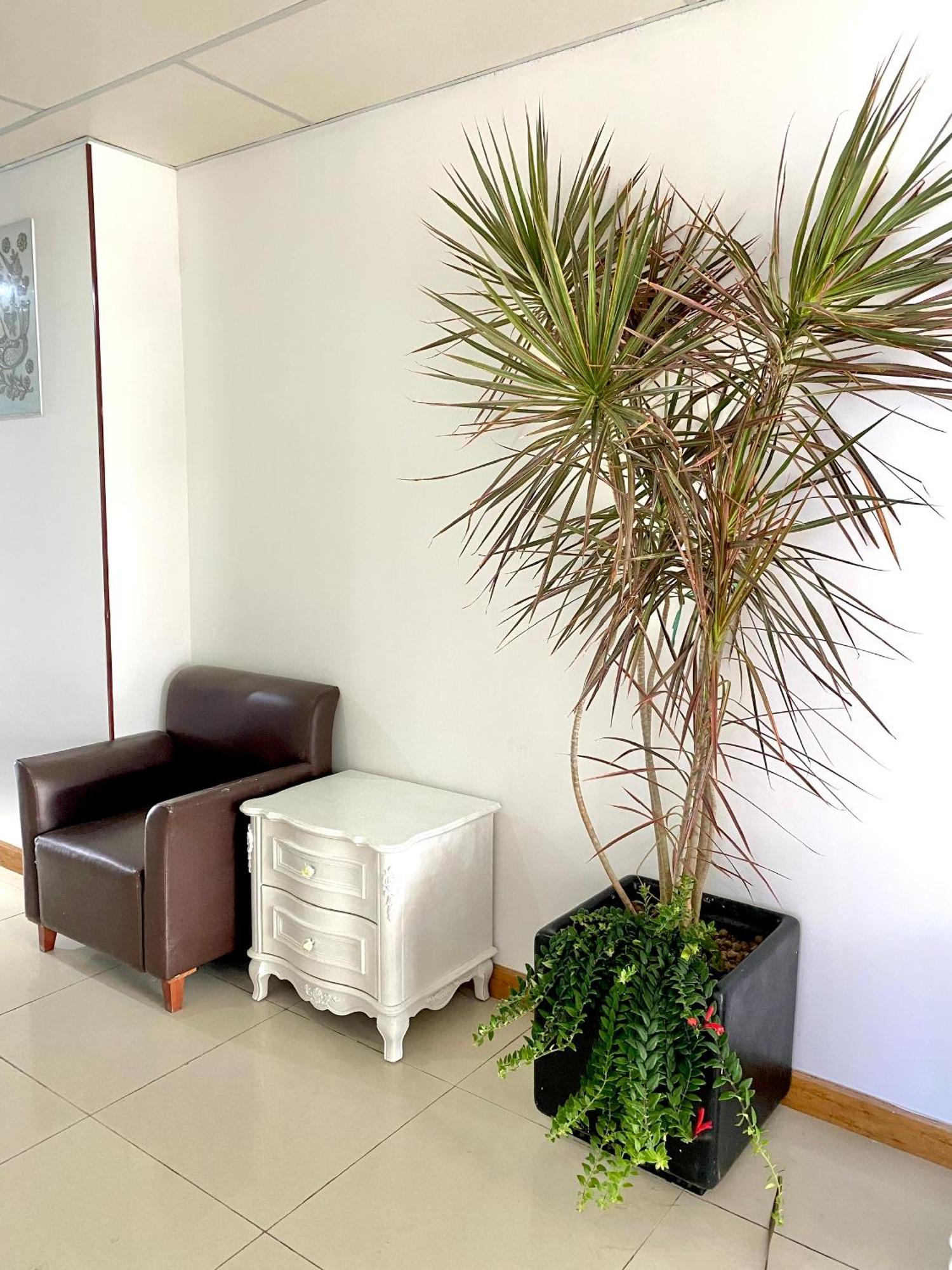 Zozo House - Homestay Bai Sau Вунгтау Екстер'єр фото